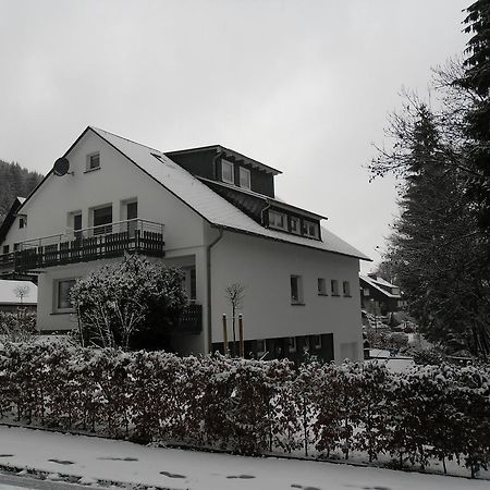 Ferienwohnung Haus Kloosterman Winterberg Dış mekan fotoğraf