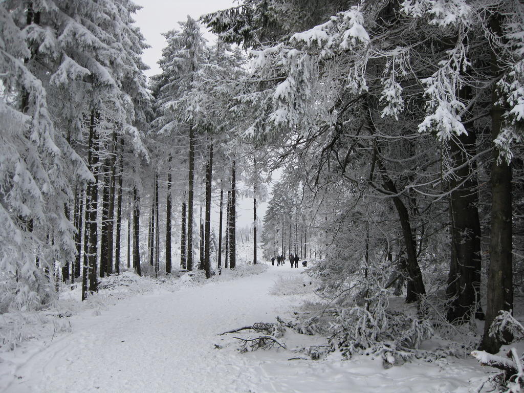 Ferienwohnung Haus Kloosterman Winterberg Dış mekan fotoğraf