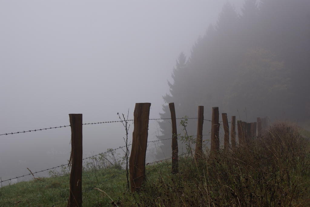 Ferienwohnung Haus Kloosterman Winterberg Dış mekan fotoğraf