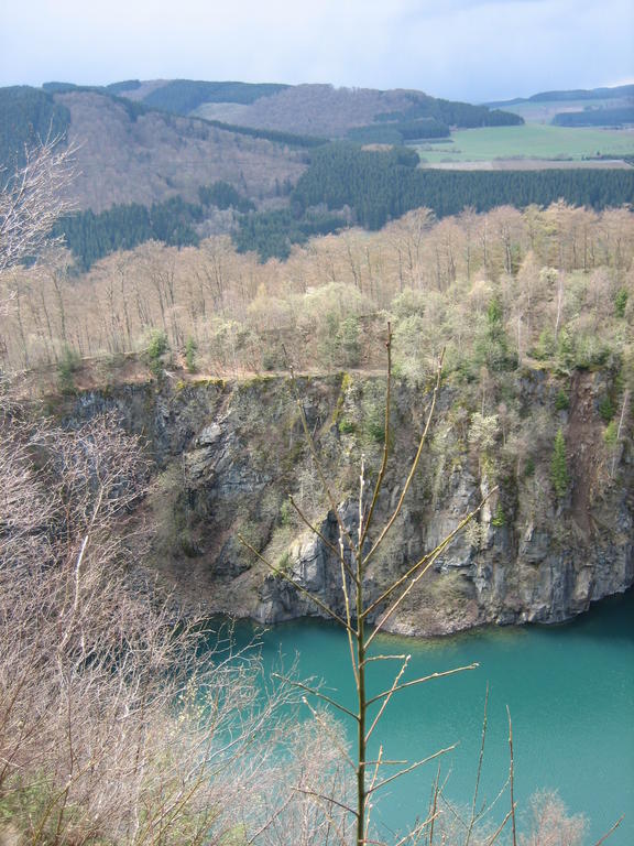 Ferienwohnung Haus Kloosterman Winterberg Dış mekan fotoğraf