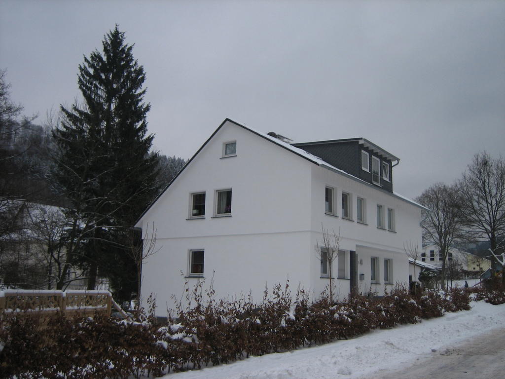 Ferienwohnung Haus Kloosterman Winterberg Dış mekan fotoğraf
